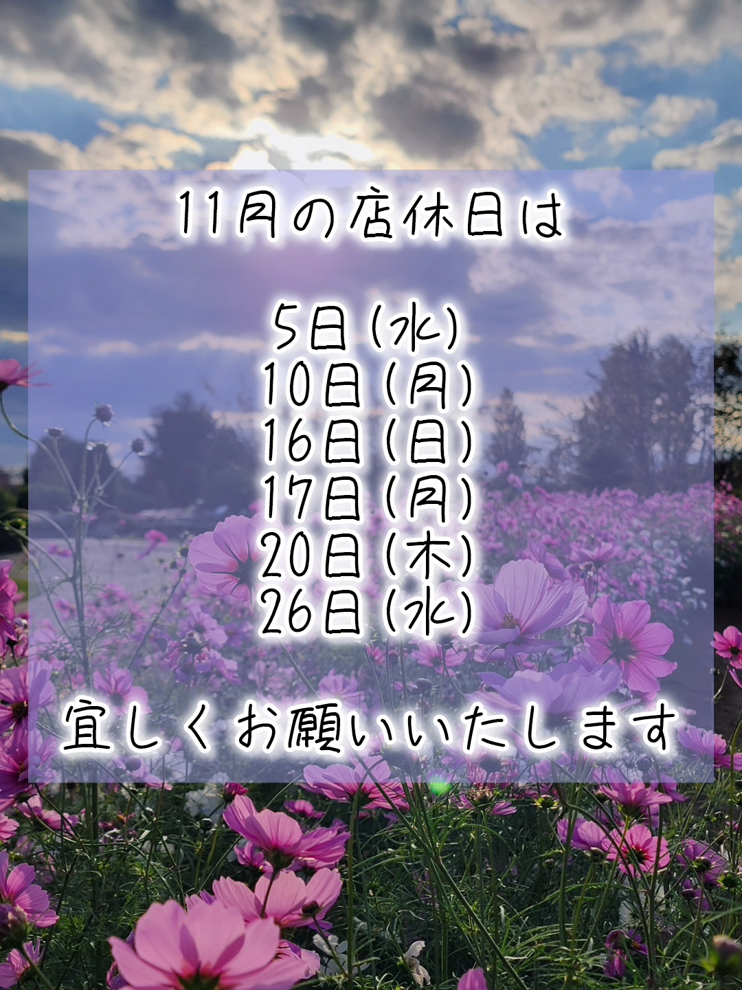 inshot_20251029_103242172